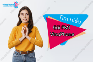 goi cuoc pm1 vinaphone