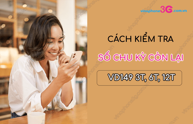 kiem tra so chu ky con lai vd149 kiem tra so chu ky con lai vd149