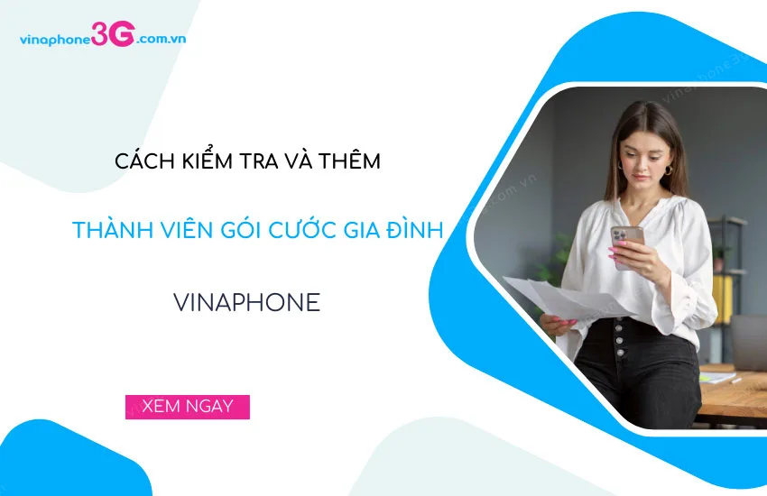 cach kiem tra goi cuoc gia dinh vinaphone