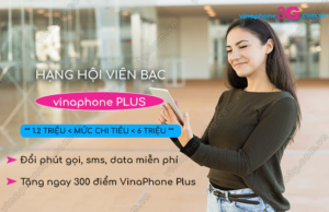 hang hoi vien bac vinaphone plus