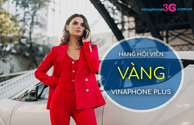 hang hoi vien vang vinaphone plus