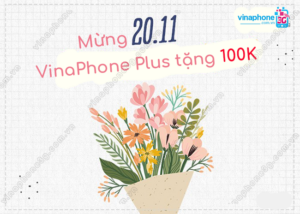 qua tang vinaphone plus mung 20/11