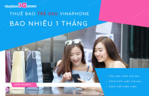 thue bao tra sau vinaphone bao nhieu 1 thang