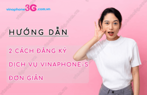 dang ky dich vu vinaphone s