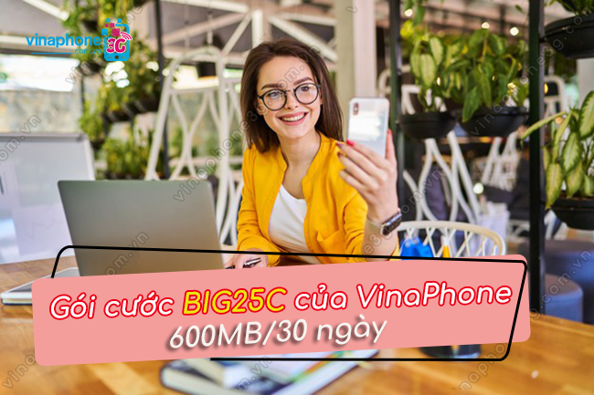 goi cuoc big25c vinaphone la gi? goi cuoc big25c vinaphone