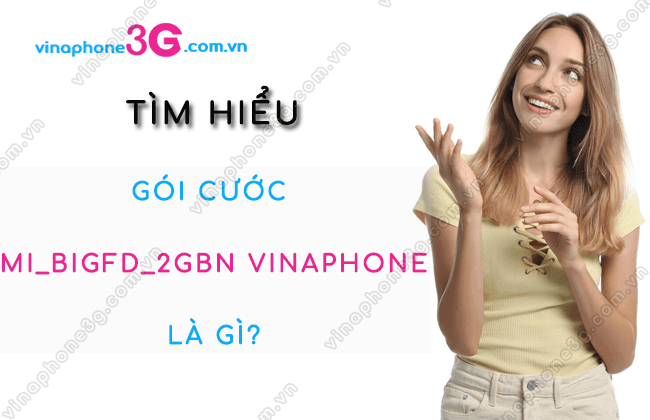 goi cuoc mi bigfd 2gbn vinaphone