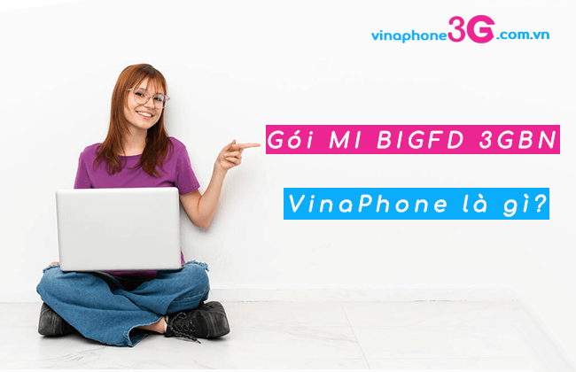 goi cuoc mi bigfd 3gbn vinaphone goi cuoc mi bigfd 3gbn vinaphone