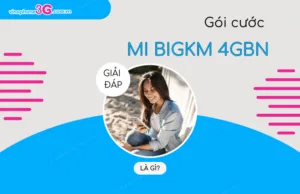 goi mi bigkm 4gbn vinaphone la goi gi?