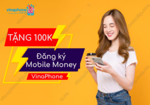 khuyen mai dang ky mobile money vinaphone