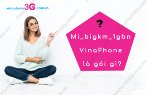 goi cuoc mi_bigkm_1gbn