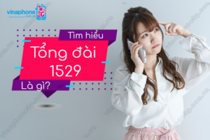 tong dai 1529