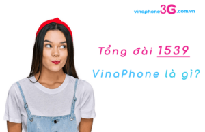 tong dai 1539 vinaphone la gi