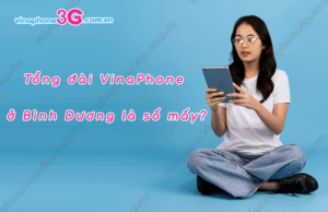 so tong dai vinaphone o binh duong