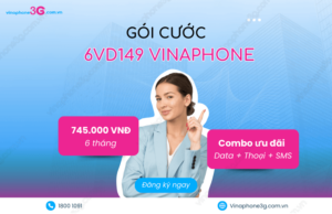 Cach dang ky goi VD149 6T cua VinaPhone