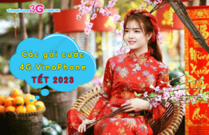 cac goi cuoc 4g vinaphone ngay tet 2023