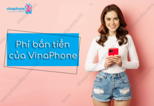 phi ban tien vinaphone