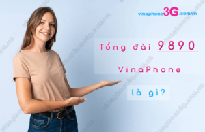 tong dai 9890 vinaphone