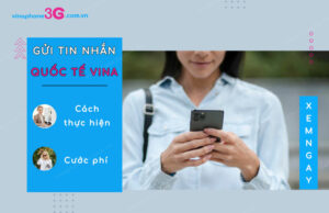 Chỉ bạn gửi tin nhắn quốc tế VinaPhone nhanh, giá rẻ gui tin nhan quoc te vinaphone