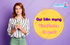 goi lien mang vinaphone la sao