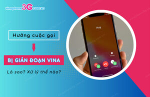 Hướng cuộc gọi bị gián đoạn VinaPhone là sao? Cách xử lý huong cuoc goi bi gian doan vinaphone