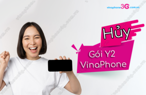 huy goi y2 vinaphone