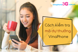 cach kiem tra ma du thuong vinaphone