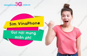 sim vinaphone goi noi mang mien phi