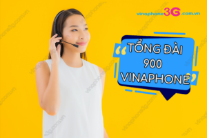 tong dai 900 vinaphone