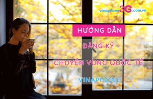 dang ký chuyen vung quoc te vinaphone