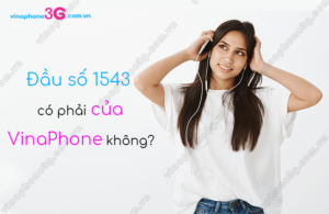 dau so 1543 co phai cua vinaphone khong?