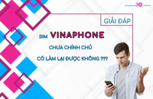 Sim Vina khong chinh chu co lam lai duoc khong