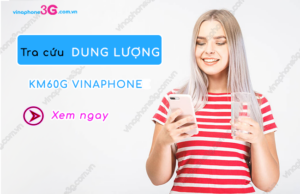 cach tra cuu dung luong KM60G vinaphone