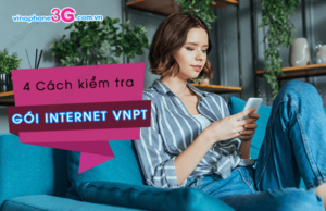 cach kiem tra goi cuoc internet vnpt dang dung