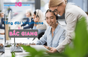 so tong dai vinaphone o bac giang