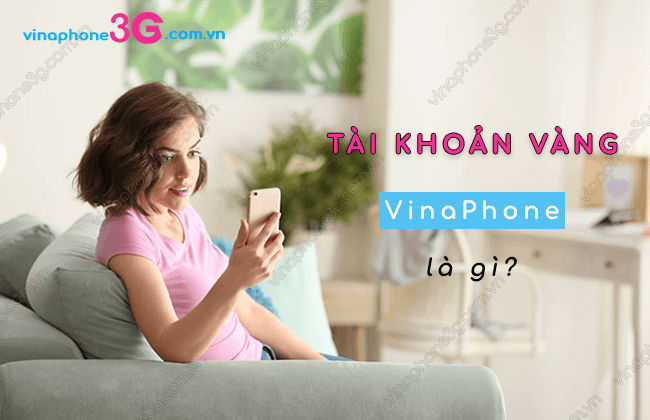 tai khoan vang vinaphone la gi? tai khoan vang vinaphone