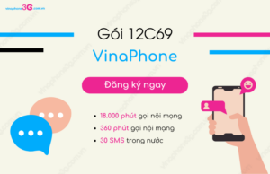 Goi cuoc C69 12T cua VinaPhone