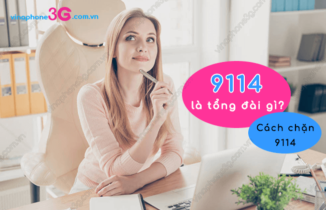 9114 la tong dai gi