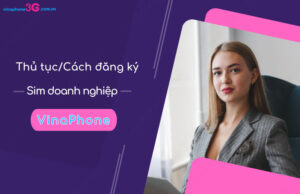 Dang ky sim doanh nghiep VinaPhone