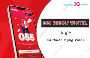 sim reddi la gi