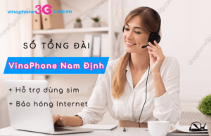 tong dai vinaophone nam dinh
