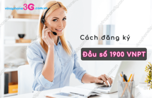 cach dang ky dau so 1900 vnpt