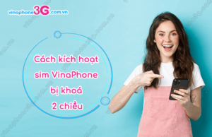 sim vinaphone bi khoa 2 chieu