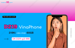 Goi cuoc D219 cua VinaPhone dang ky nhu the nao