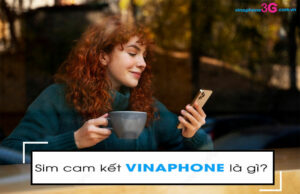 Giải đáp: Sim cam kết VinaPhone là sao ? Quy định sử dụng ? Sim cam ket VinaPhone la gi