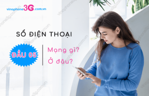 dau so dien thoai 05