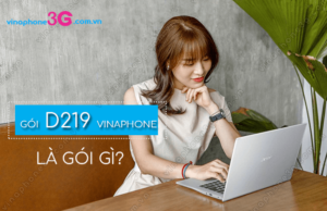 goi cuoc d219 cua vinaphone