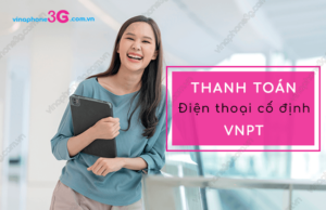 cach thanh toan hoa don dien thoai co dinh vnpt