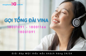 tong dai vinaphone