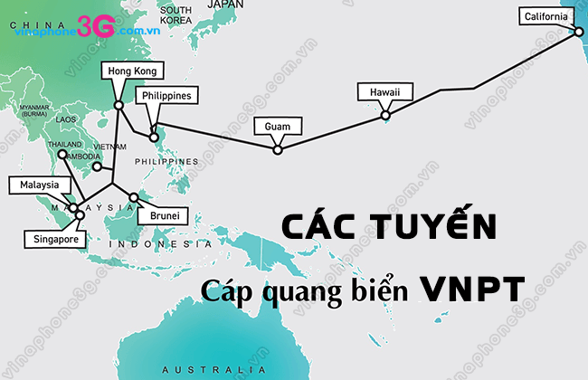 cap quang bien vnpt