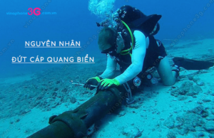 nguyen nhan dut cap quang bien